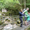 Gebietswanderung Rinnerberger Wasserfall